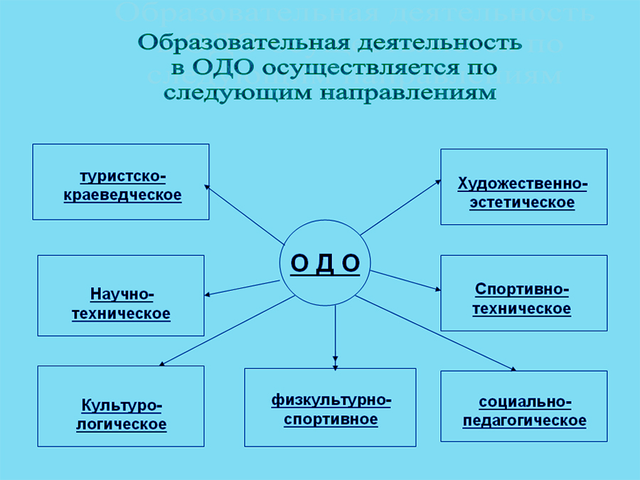 Организация дополнительного образования. Дополнительное образование в школе схема. Направления дополнительного образования в начальной школе. Деятельность организаций дополнительного образования. Виды деятельности организаций дополнительного образования.